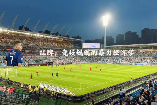 红牌：竞技规则的暴力经济学